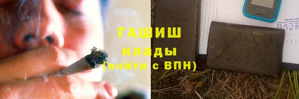 МДПВ Бородино