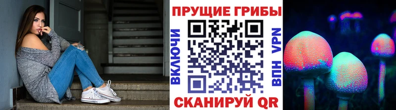 дарнет шоп  Иннополис  Галлюциногенные грибы прущие грибы 
